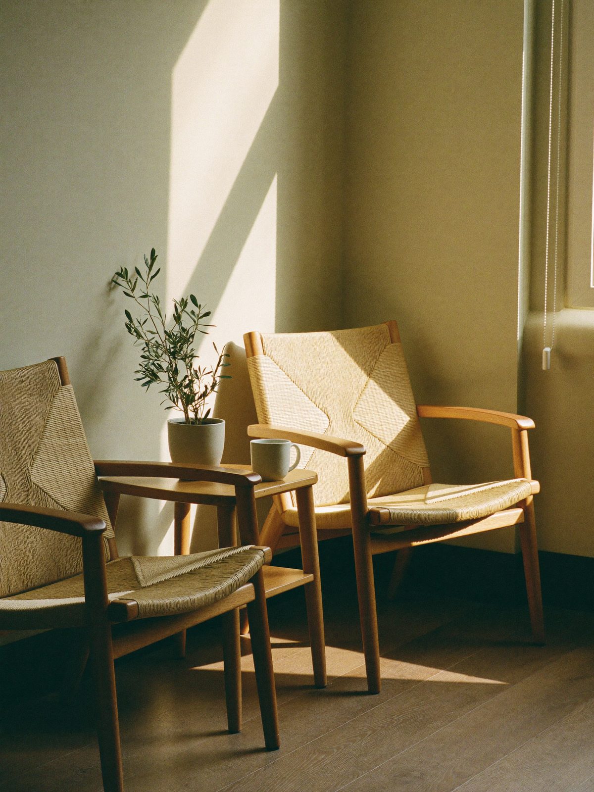 Sunlit clinic waiting corner with woven chairs and an olive tree