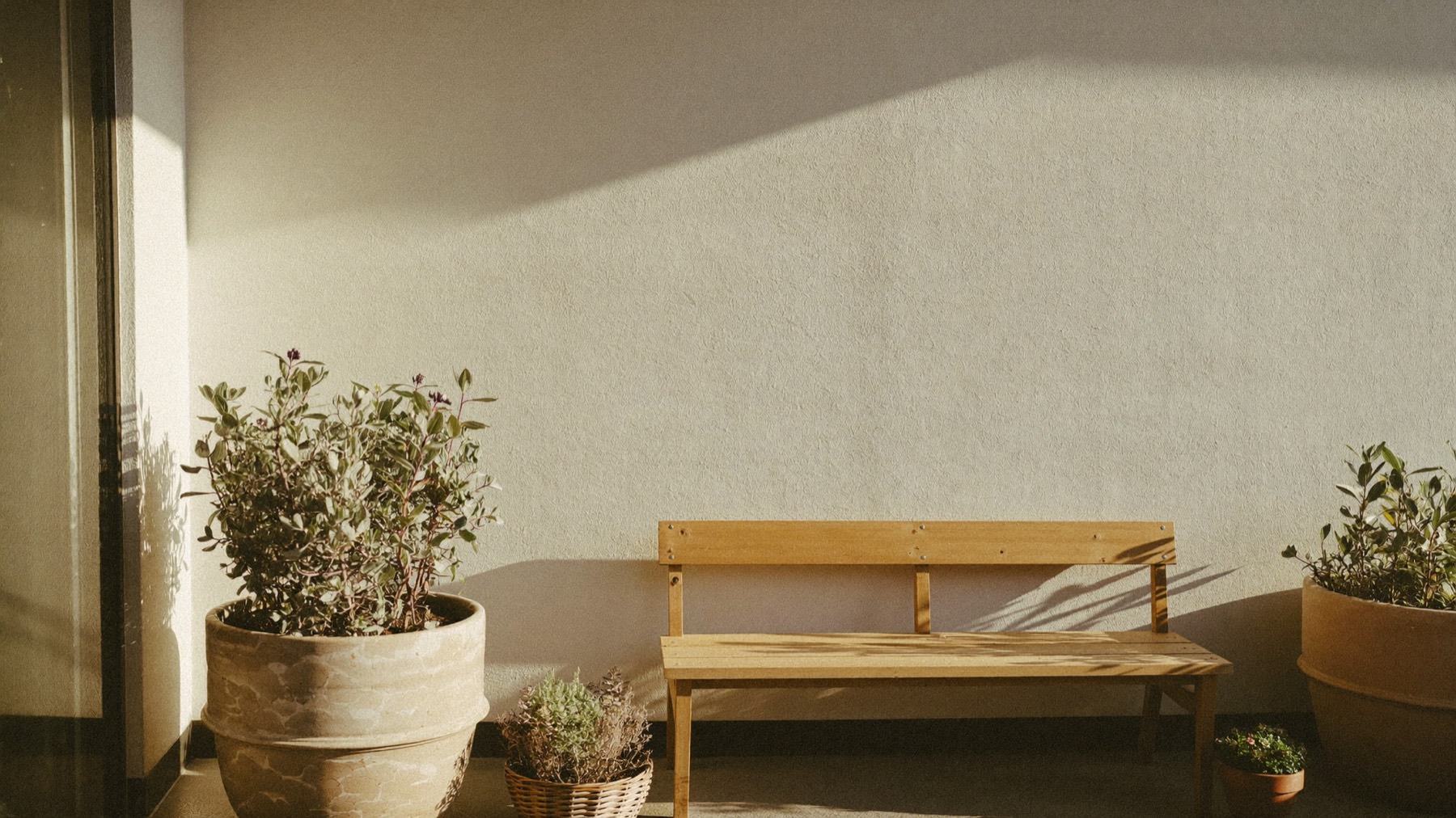 A sunlit courtyard with a wooden bench and potted sage plants