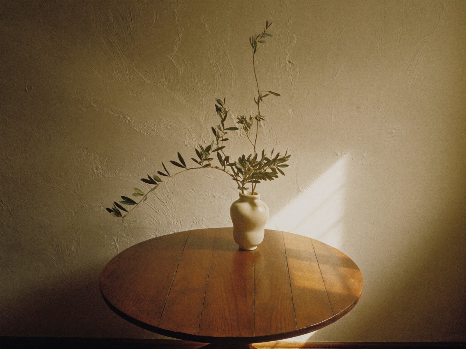 An olive branch in a ceramic vase on a wooden table